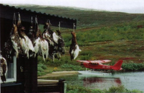 kiruna_flugklubb_historia